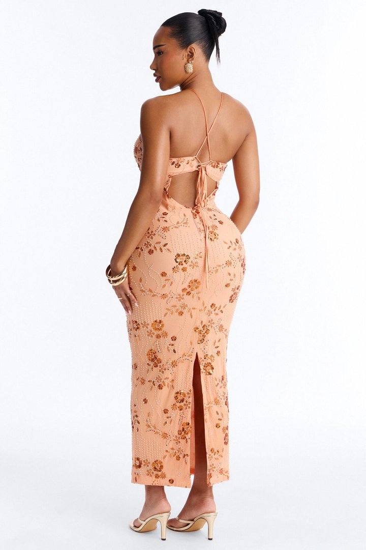 Josephine Embellished Mesh Maxi Dress - Orange