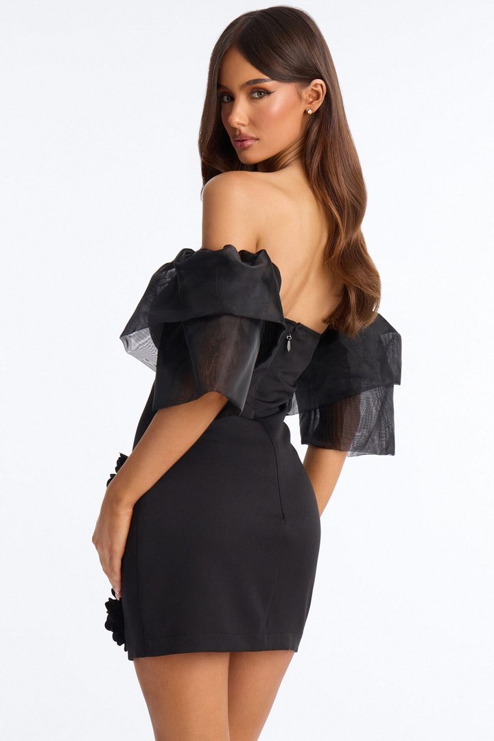 Celine Ruffle Sleeve Mini Dress - Black