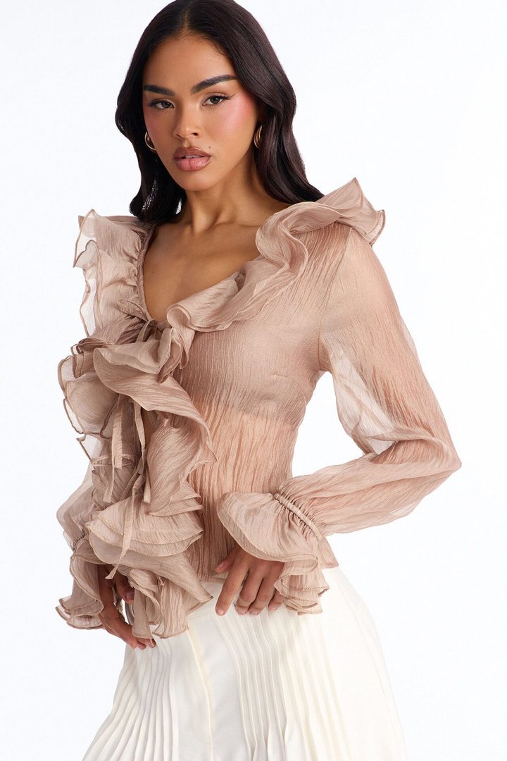 Frame The Moment Ruffle Organza Blouse - Mocha
