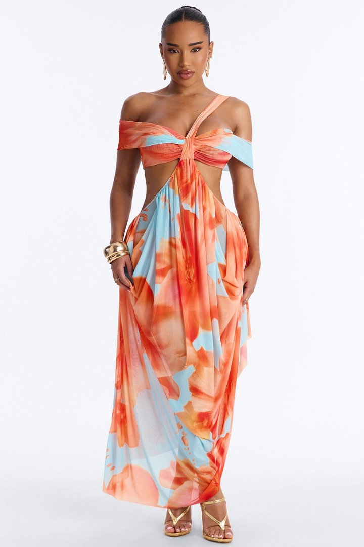 She Gets Her Way Mesh Maxi Dress - Blue/combo