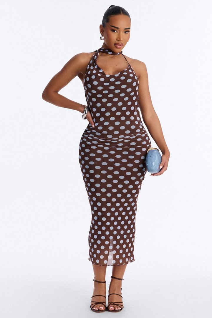 Sweet Spot Polka Dot Mesh Midi Dress - Brown/combo