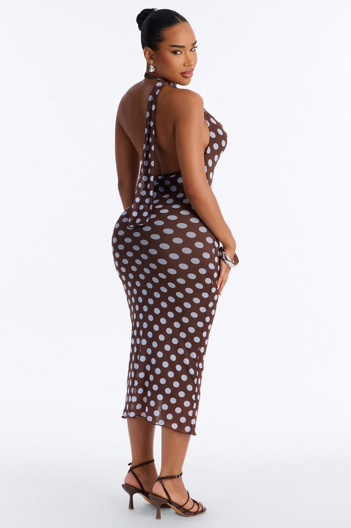 Sweet Spot Polka Dot Mesh Midi Dress - Brown/combo
