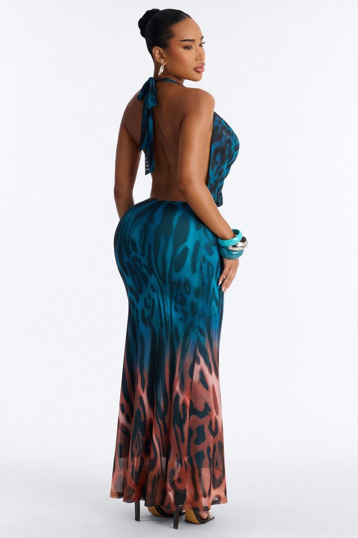Bad Girl Behavior Mesh Maxi Dress - Teal/combo