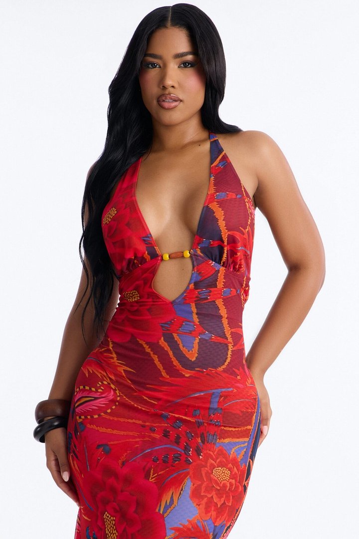 Island Diva Backless Mesh Maxi Dress - Red/combo