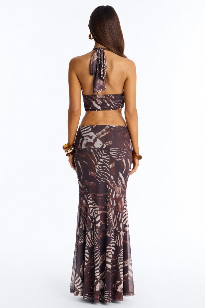 Carolina Animal Mesh Maxi Dress - Brown/combo