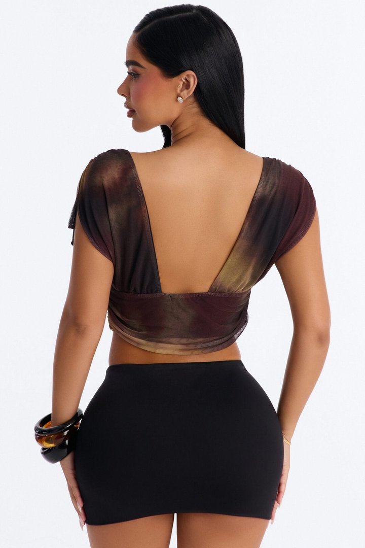 Lori Deep V-Neck Mesh Cropped Top - Brown/combo