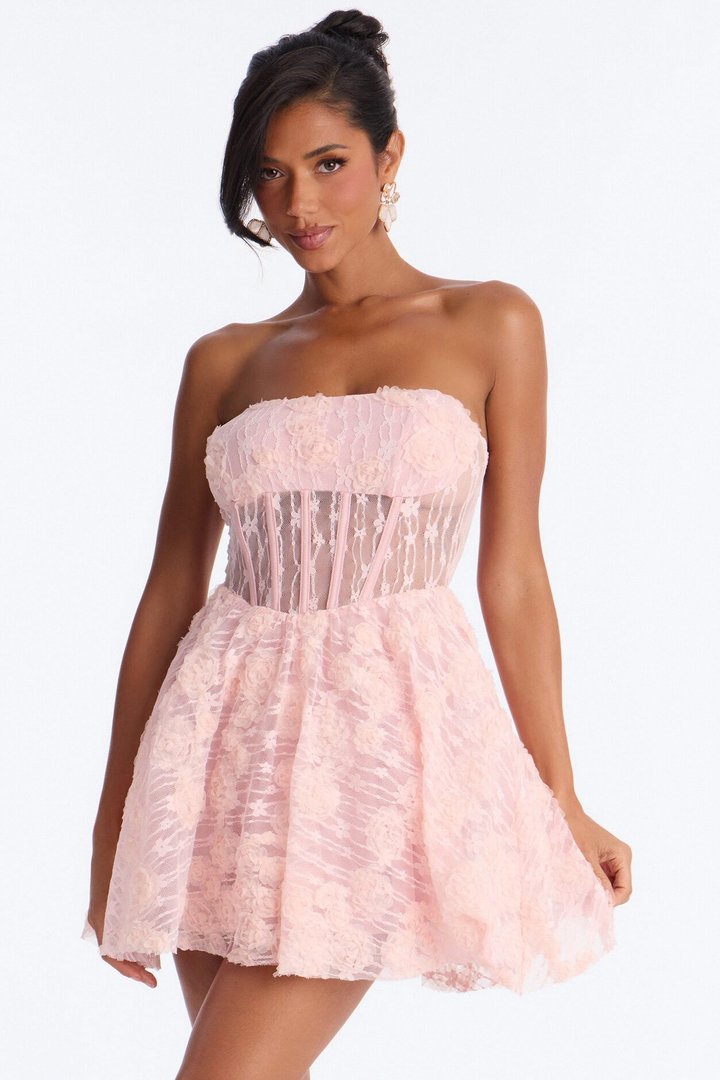 Lenora Corset Waist Lace Mini Dress - Pink