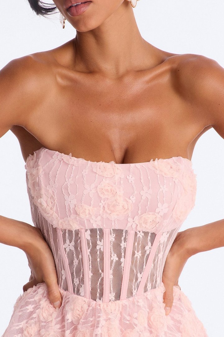 Lenora Corset Waist Lace Mini Dress - Pink