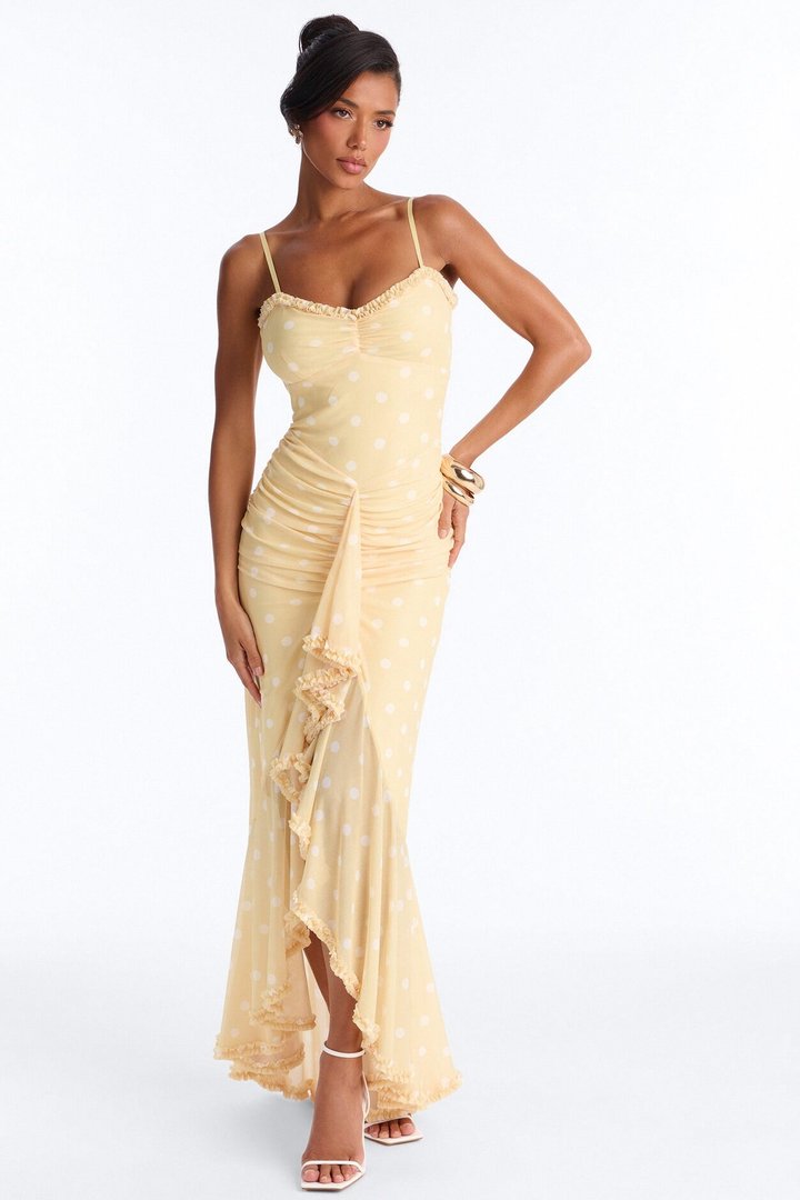 Paige Polka Dot Mesh Maxi Dress - Yellow/combo