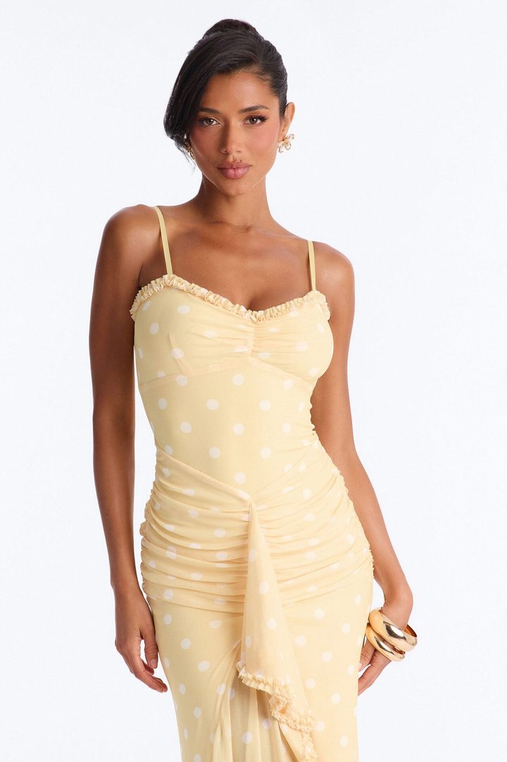 Paige Polka Dot Mesh Maxi Dress - Yellow/combo