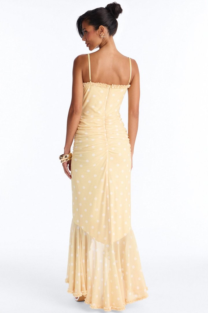 Paige Polka Dot Mesh Maxi Dress - Yellow/combo