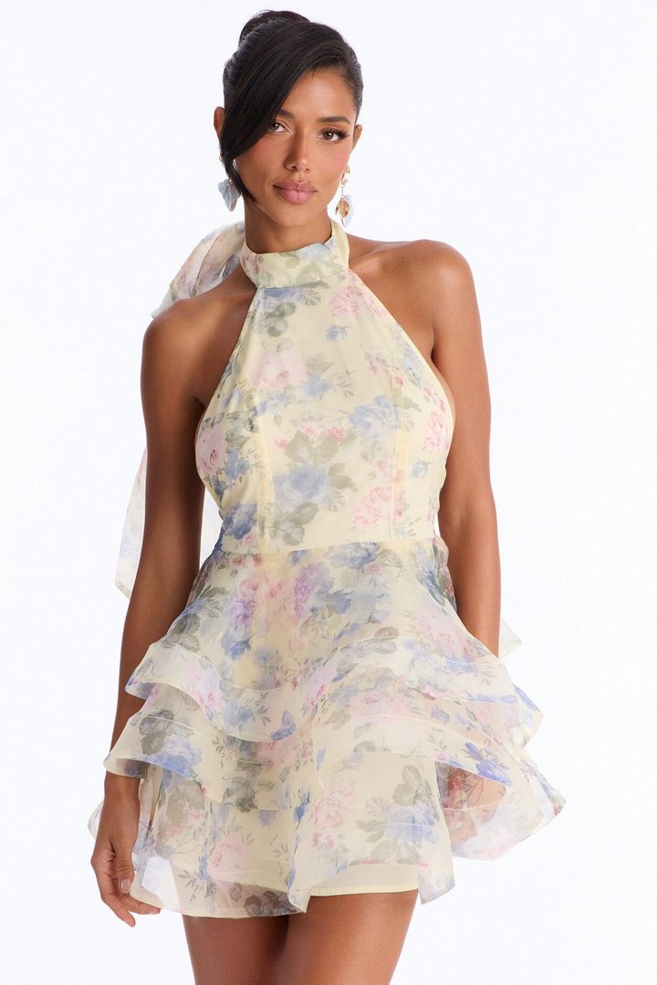 Maria Backless Floral Organza Mini Dress - Butter Yellow