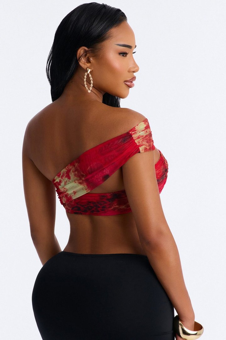 Alina Mesh Off Shoulder Ruched Cropped Top - Red/combo