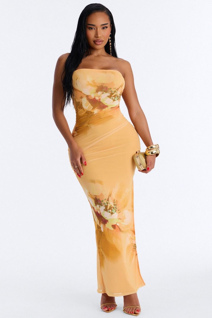 Emelia Ombre Mesh Maxi Dress - Orange