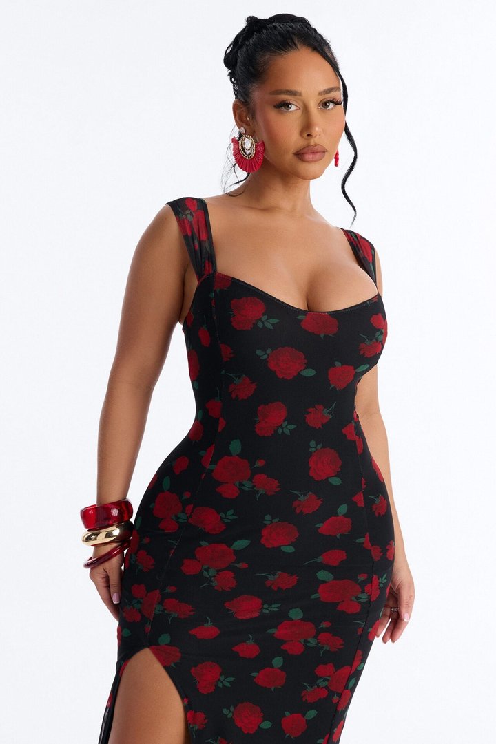 Adrienne Printed Mesh Midi Dress - Black/Red