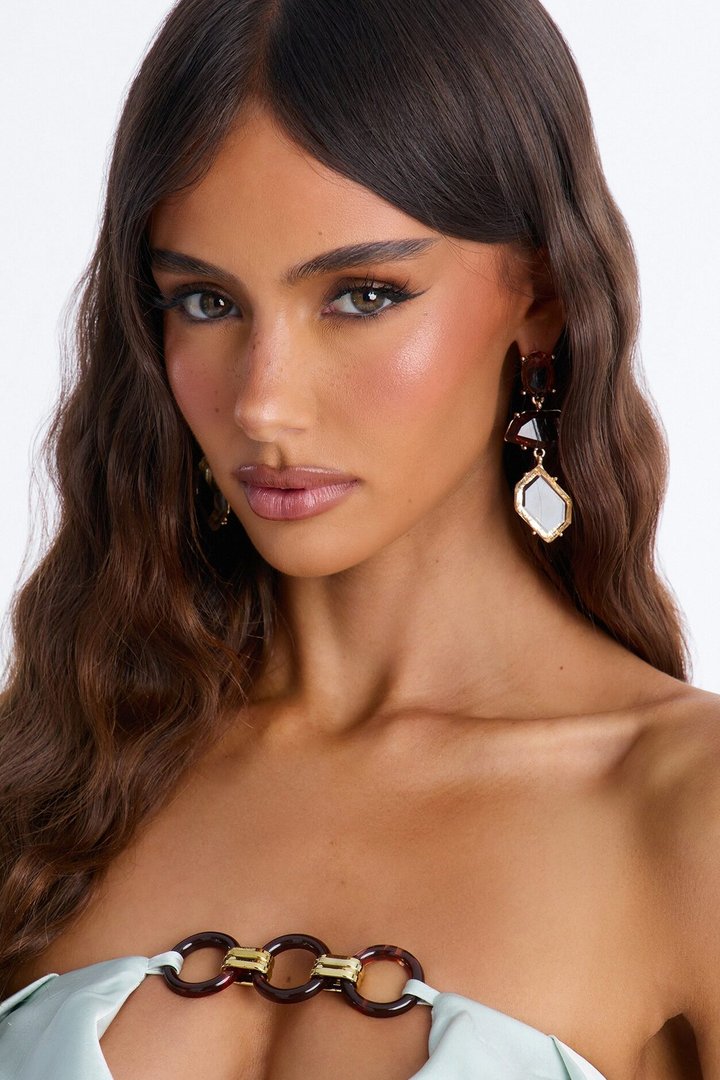 Earthy Smoky Jeweled Drop Earrings - Gold/Brown