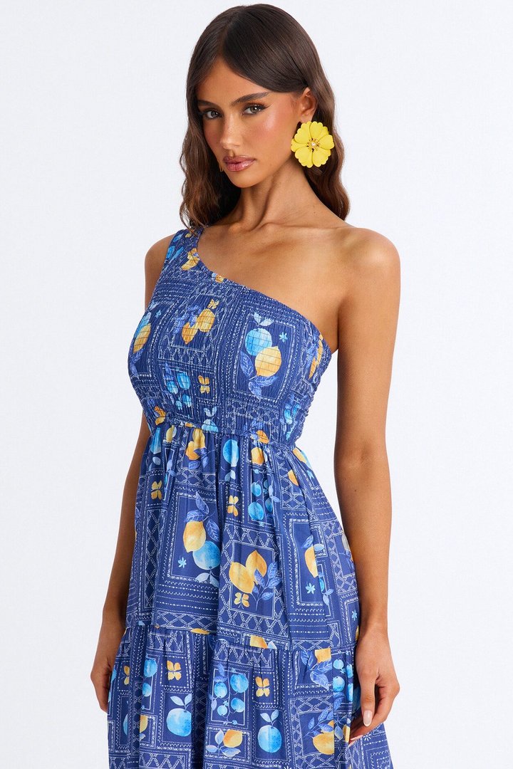 Peachy Keen Print Midi Dress - Blue/combo