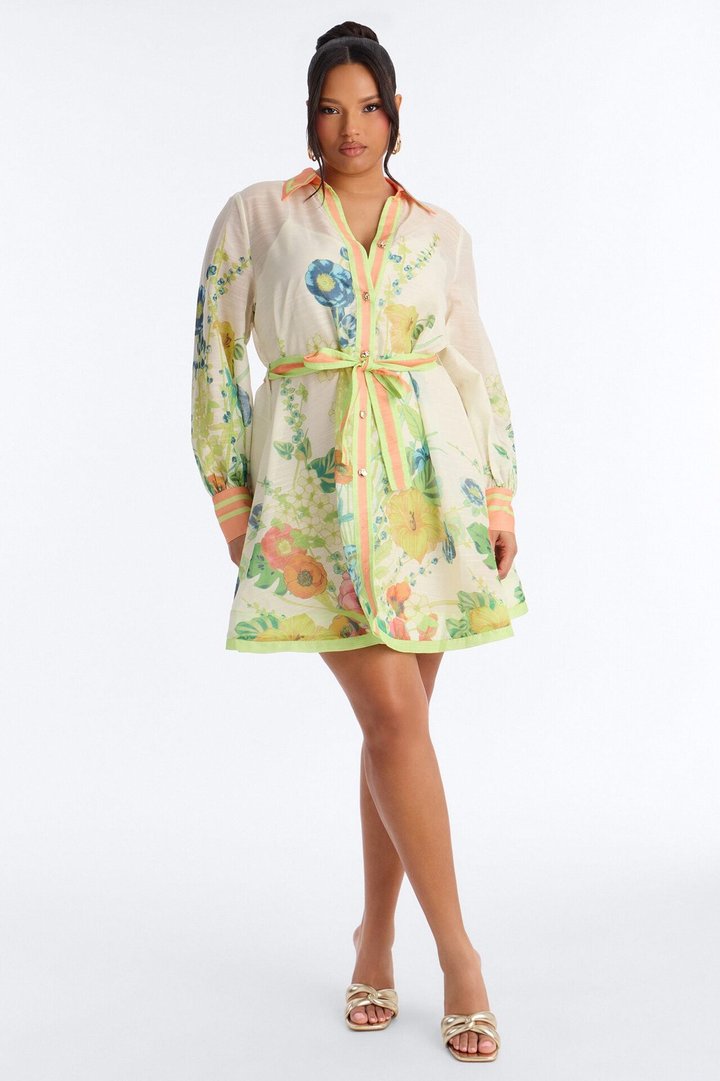 Old School Sweetie Floral Mini Dress - Green/combo