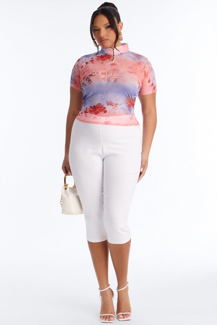 Daytime Blossom Mesh Mock Neck Short Sleeve Top - Pink/combo