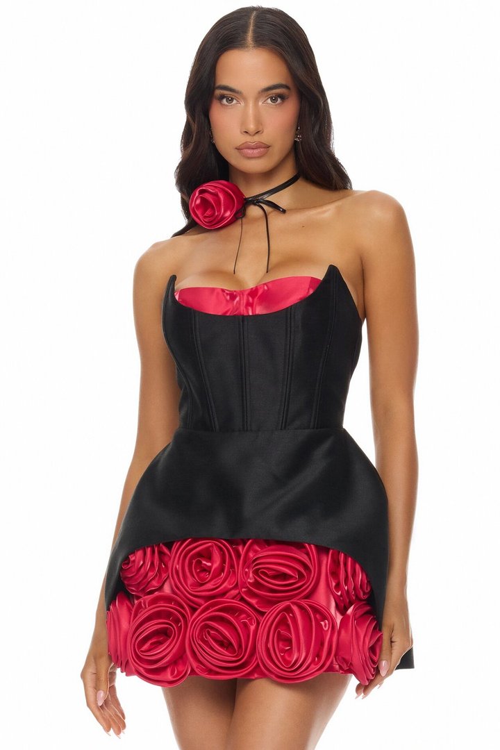 Dahlia Floral Applique Mini Dress - Black/Red