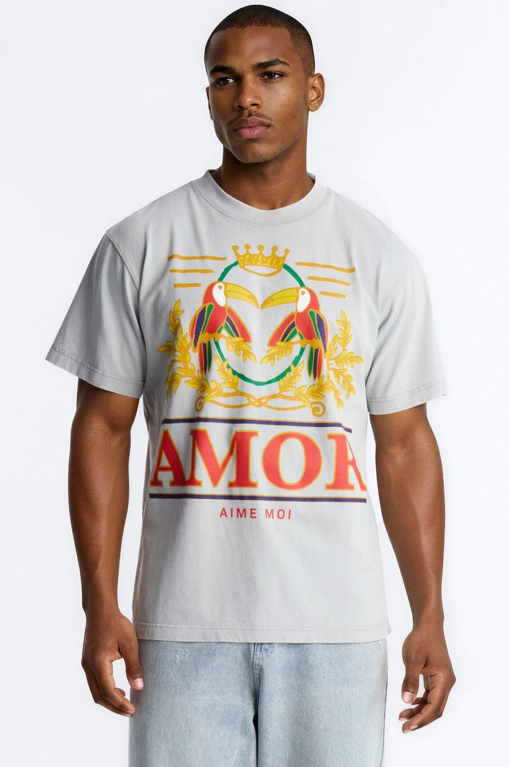 Amor Moi Oversized Heavy Weight Vintage Short Sleeve Tee - Grey