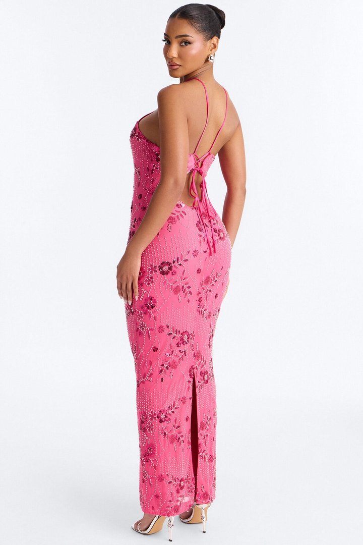 Josephine Embellished Mesh Maxi Dress - Hot Pink