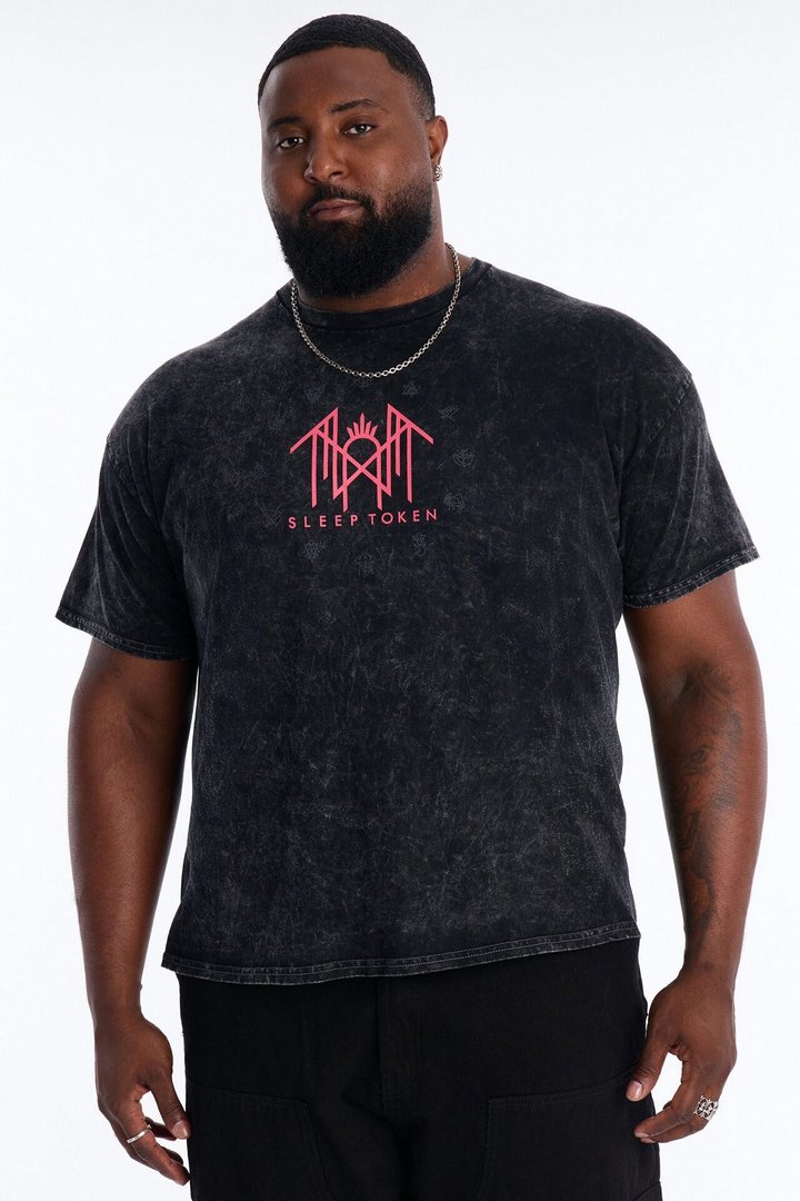 Sleep Token Flamingo Vintage Short Sleeve Tee - Black Wash