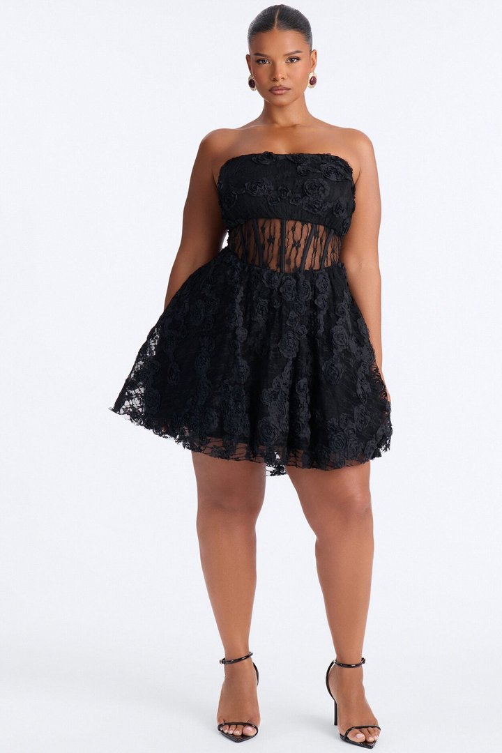 Lenora Corset Waist Lace Mini Dress - Black