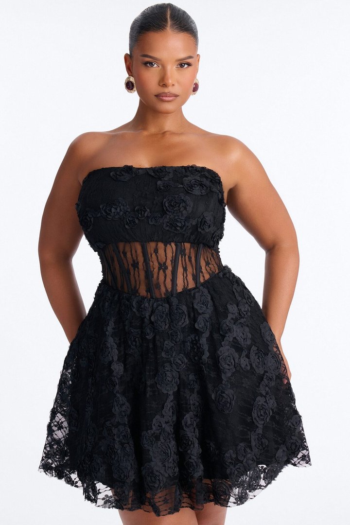 Lenora Corset Waist Lace Mini Dress - Black