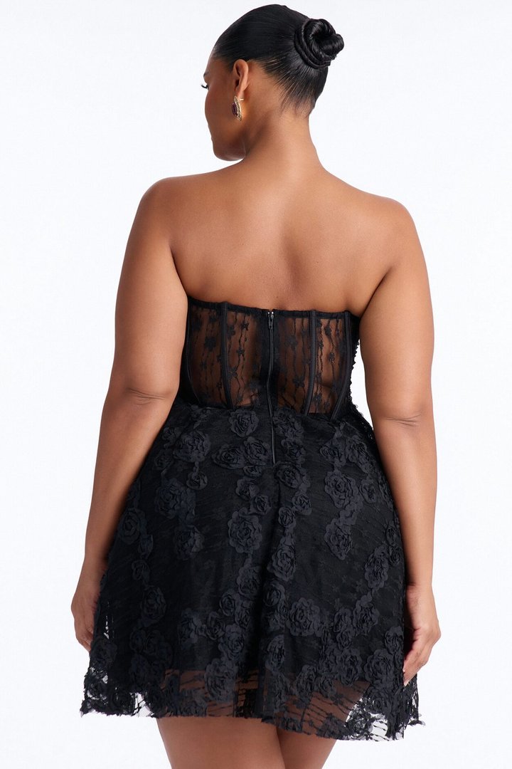 Lenora Corset Waist Lace Mini Dress - Black
