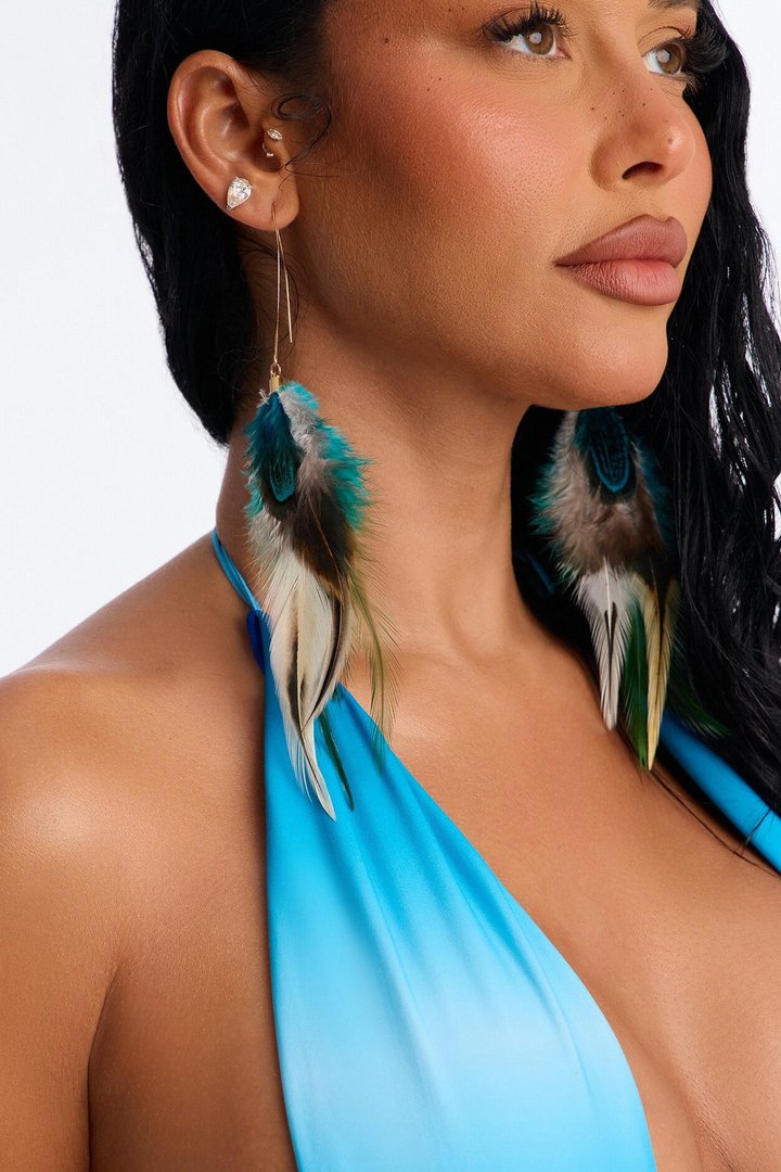 Whispering Feathers Earrings - Blue/combo