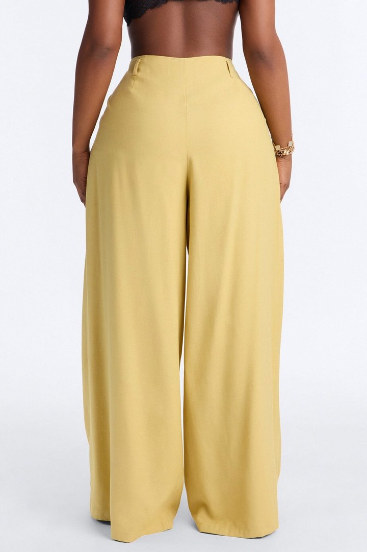 Elyse Linen High Rise Pleated Trousers - Honey