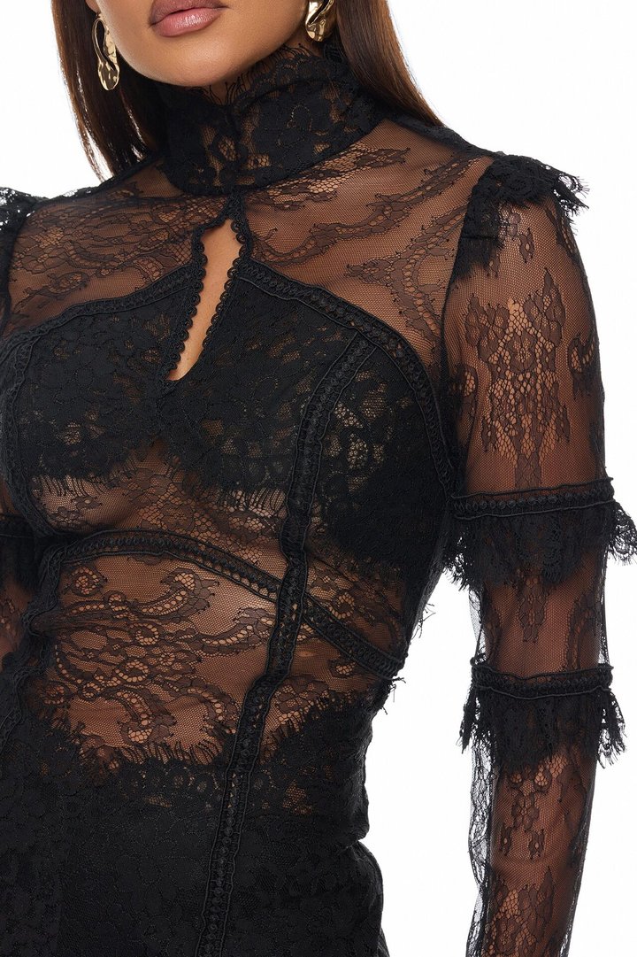 Lana Sheer Lace Mini Dress - Black