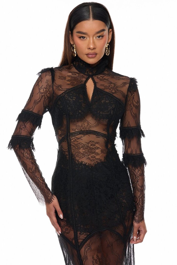 Lana Sheer Lace Maxi Dress - Black
