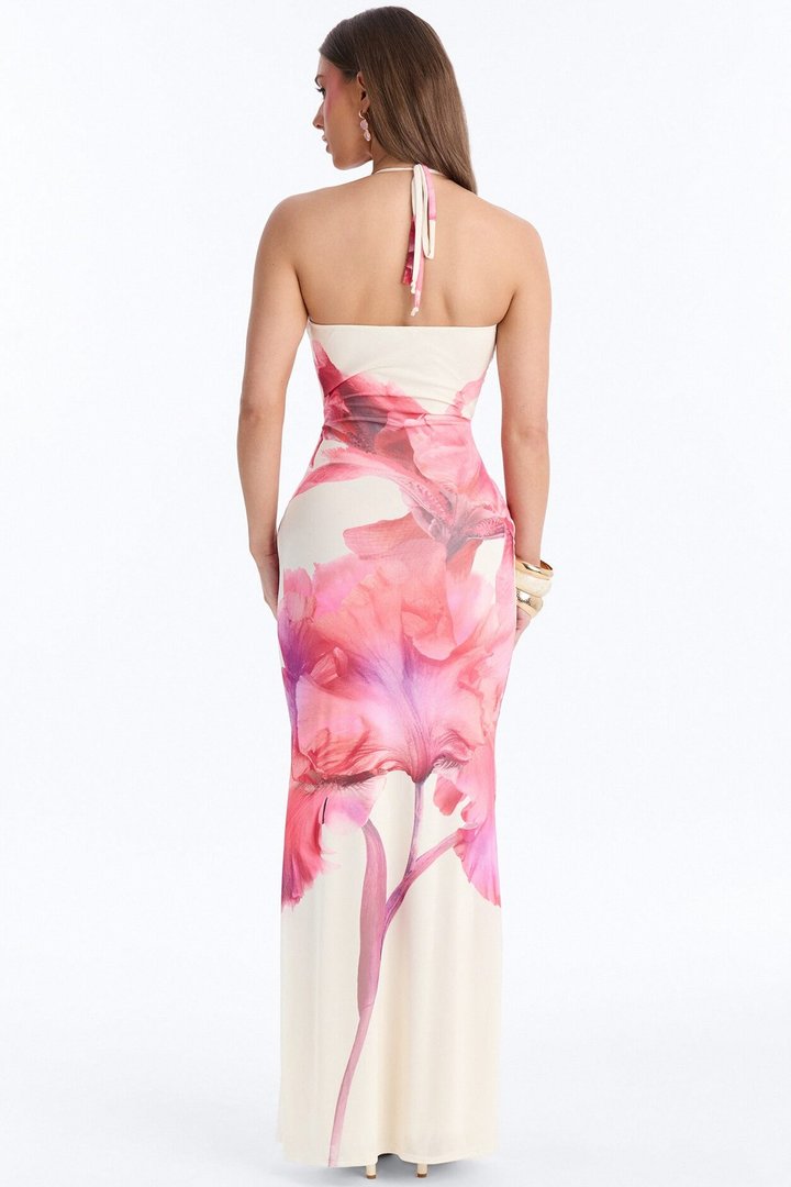Iyla Floral Mesh Maxi Dress - Pink/combo