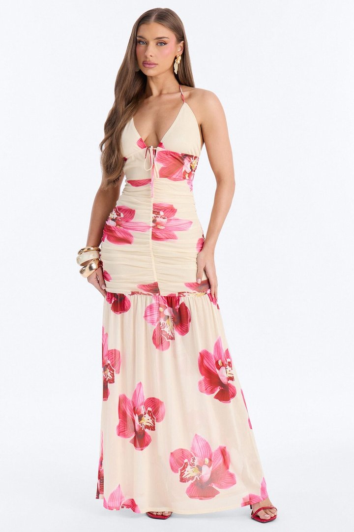 Raelyn Floral Mesh Maxi Dress - Cream/combo