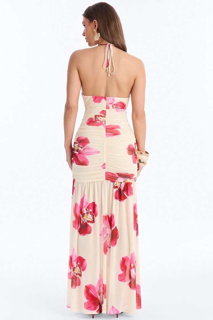 Raelyn Floral Mesh Maxi Dress - Cream/combo
