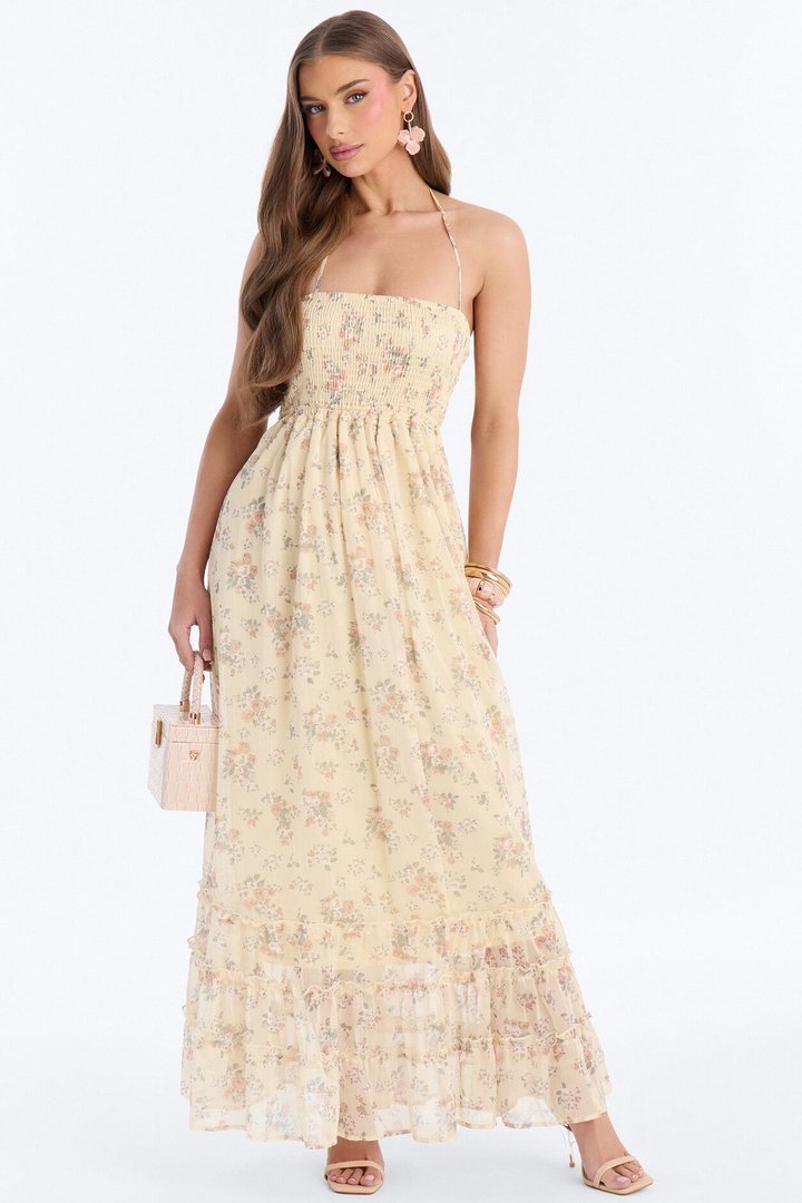 Lilah Floral Backless Maxi Dress - Yellow/combo