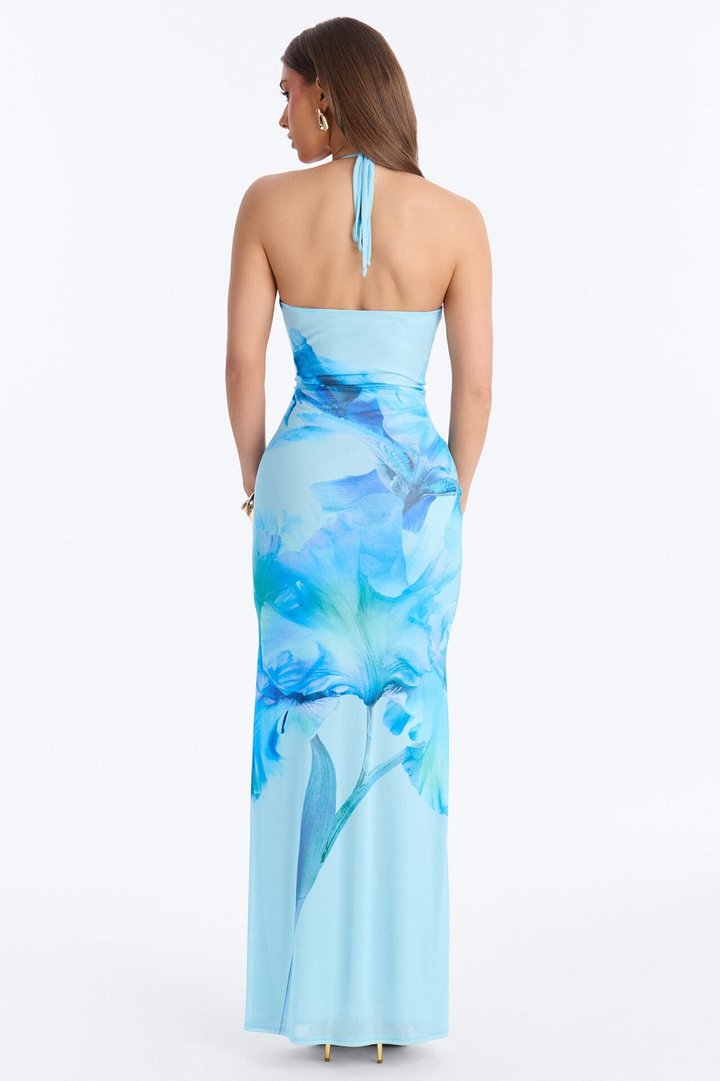 Iyla Floral Mesh Maxi Dress - Blue