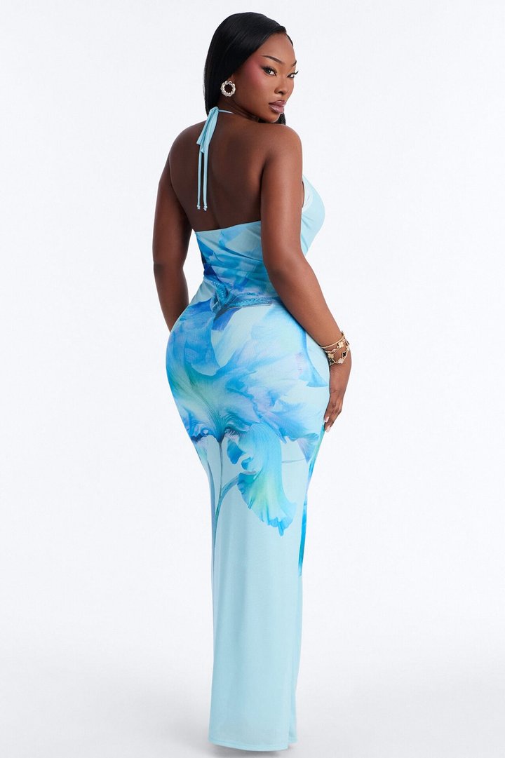 Iyla Floral Mesh Maxi Dress - Blue