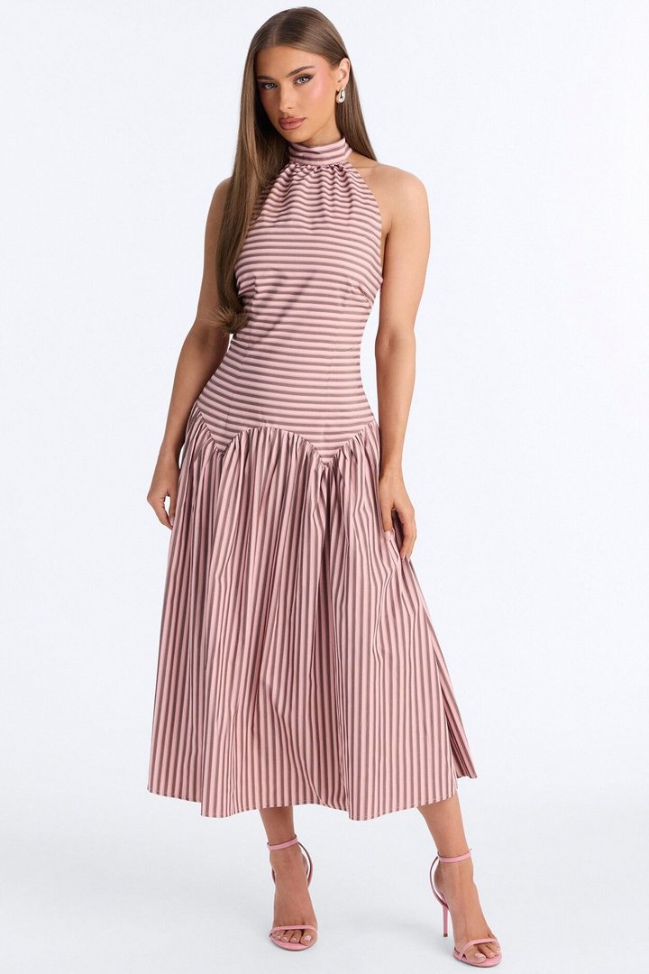 Clara Pleated Striped Midi Dress - Pink/combo