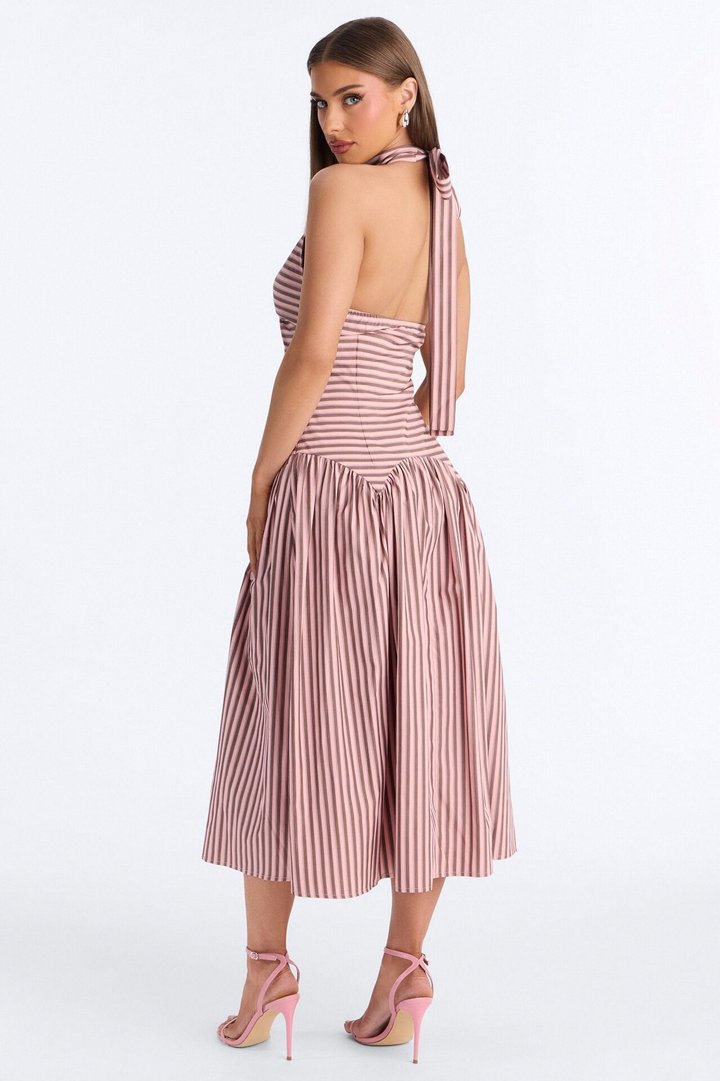Clara Pleated Striped Midi Dress - Pink/combo