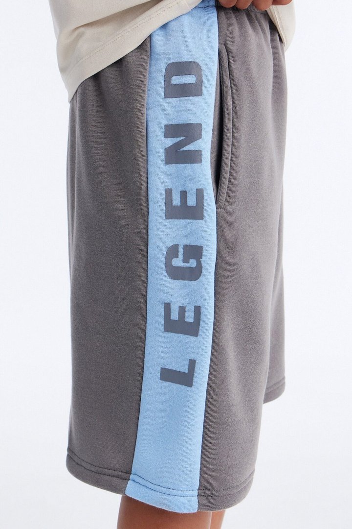 Mini Make Way For the Legend Fleece Shorts - Grey/combo