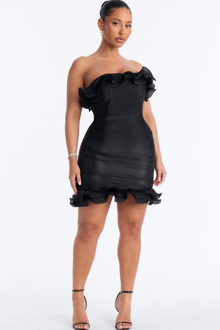 Hitting The Town Organza Mini Dress - Black
