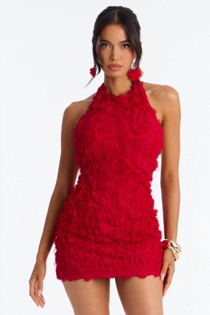 Dark Romance Sleeveless Mesh Mini Dress - Red