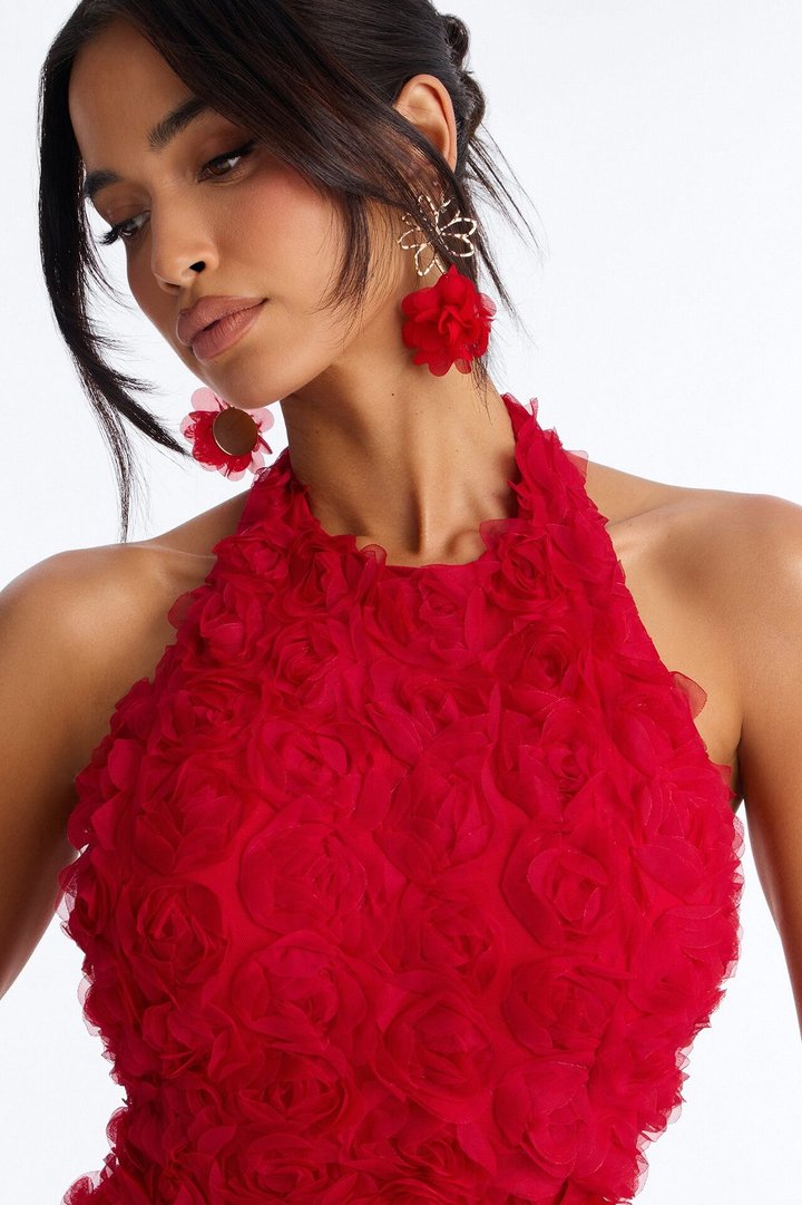 Dark Romance Sleeveless Mesh Mini Dress - Red