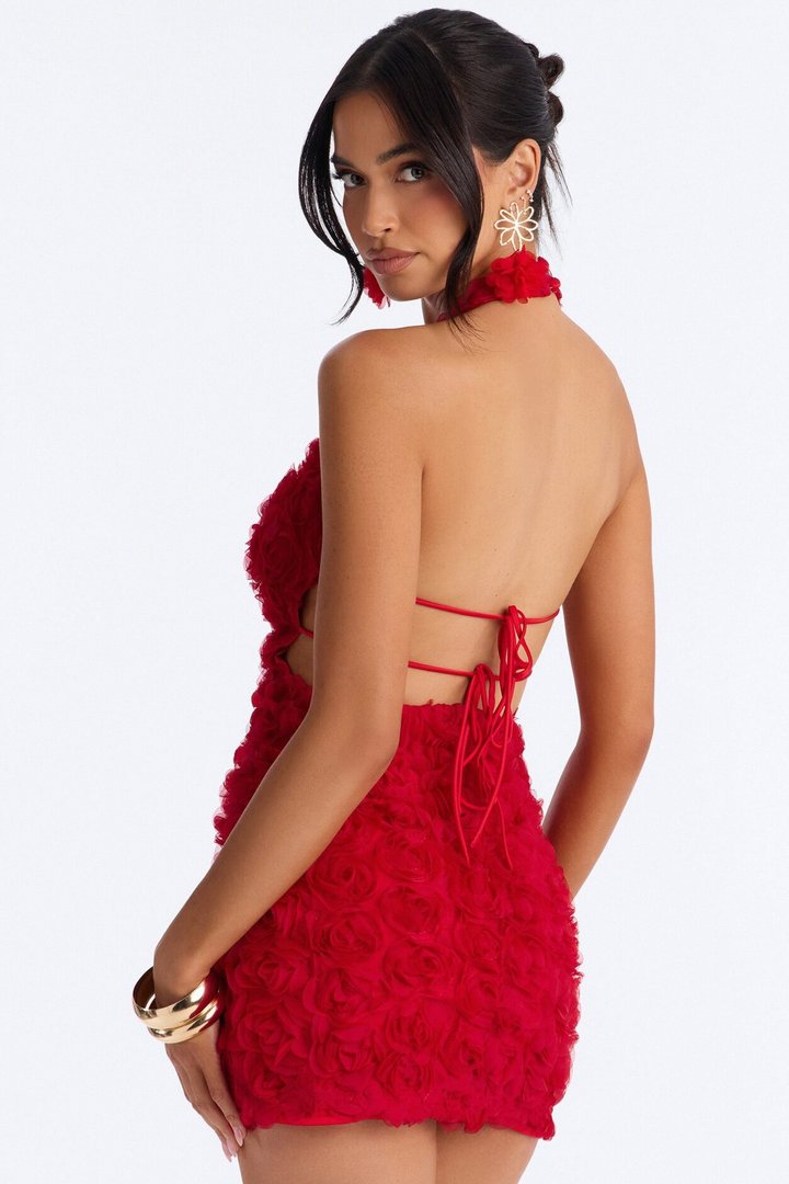 Dark Romance Sleeveless Mesh Mini Dress - Red