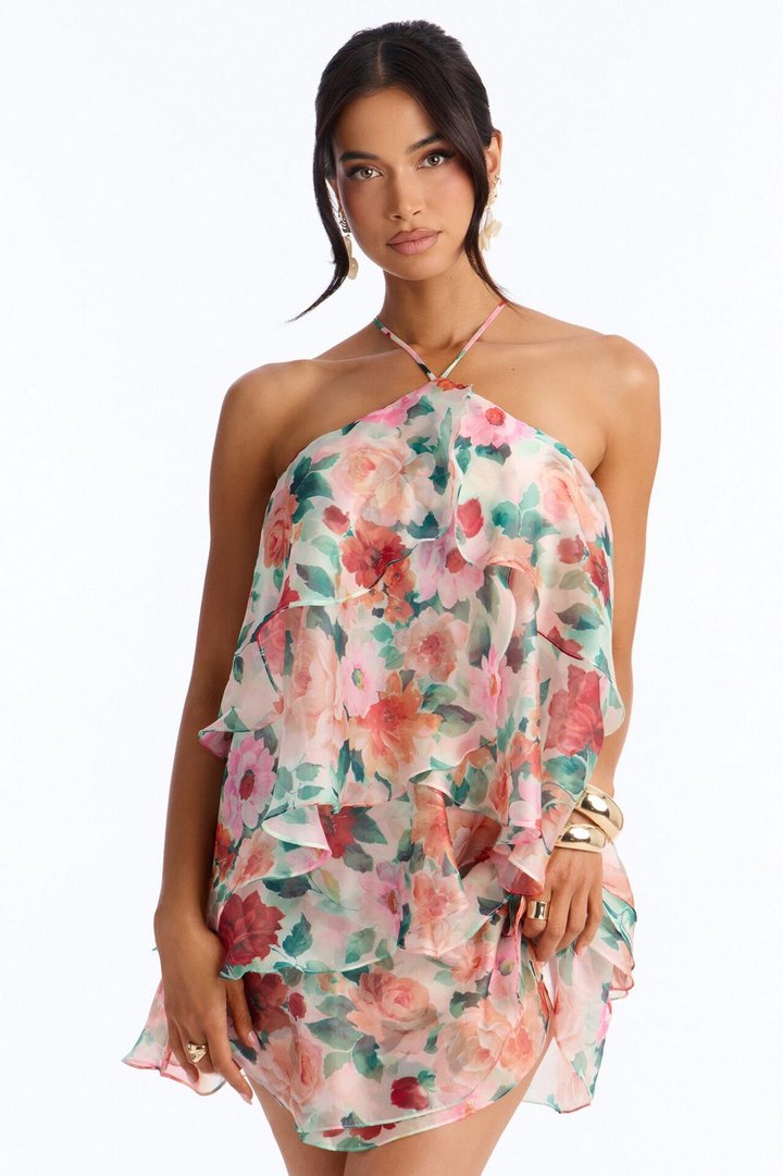 Haisley Floral Organza Mini Dress - Orange/combo