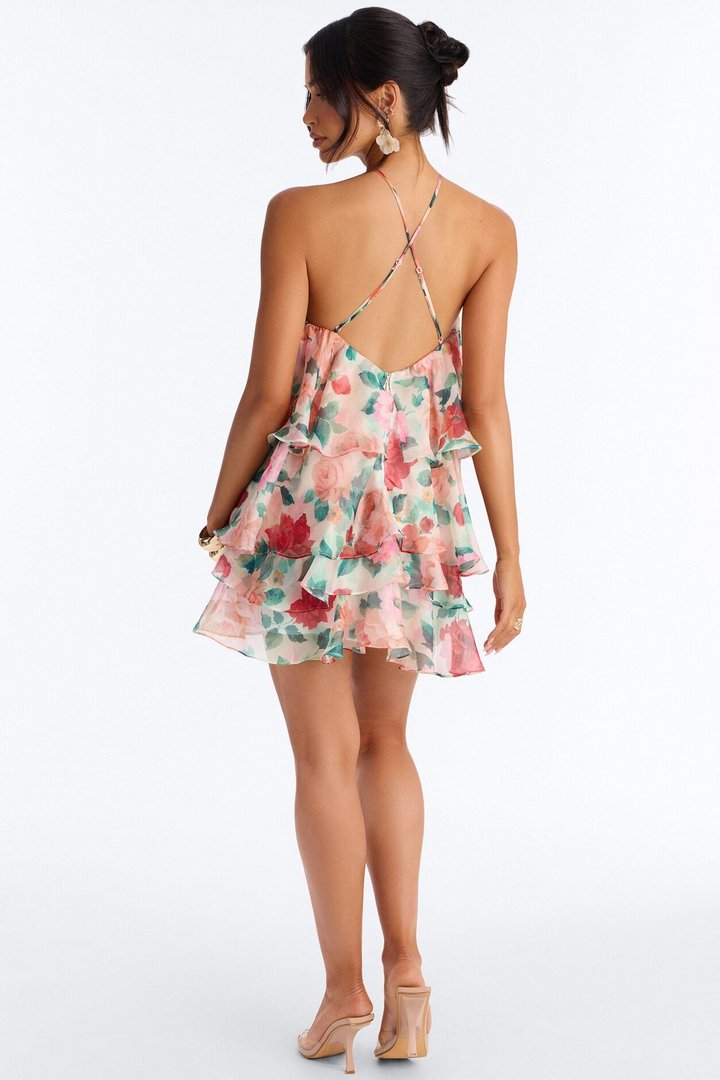 Haisley Floral Organza Mini Dress - Orange/combo