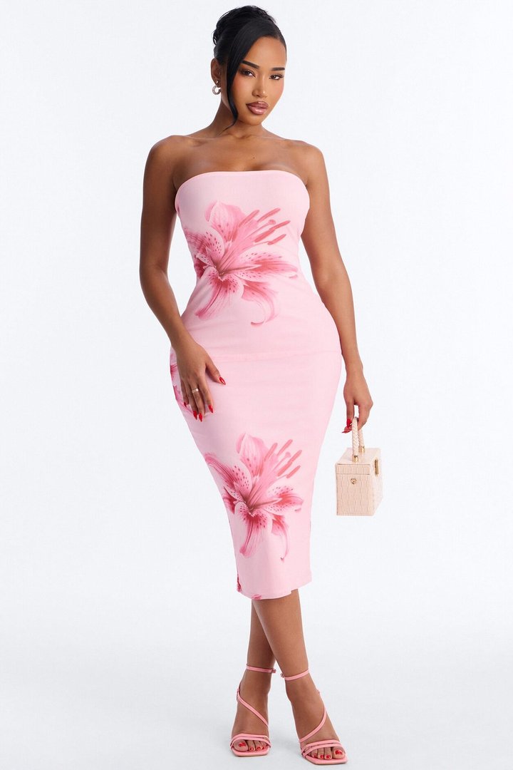 Elara Printed Mesh Midi Dress - Pink